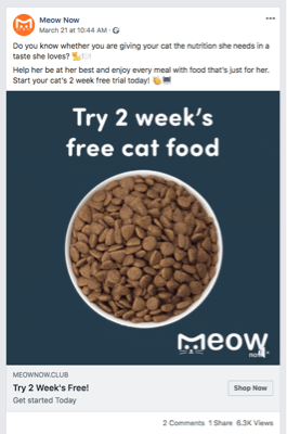 Meownow Ad
