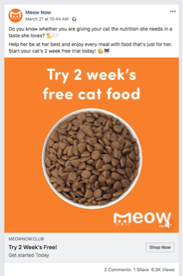 Meownow Ad 2